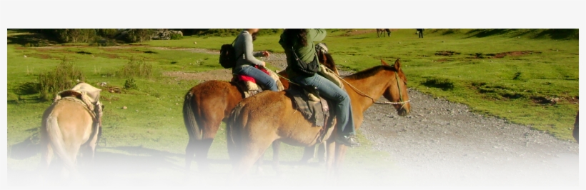 Passeio A Cavalo - Pousada Dos Pescadores Passeio A Cavalo, transparent png download