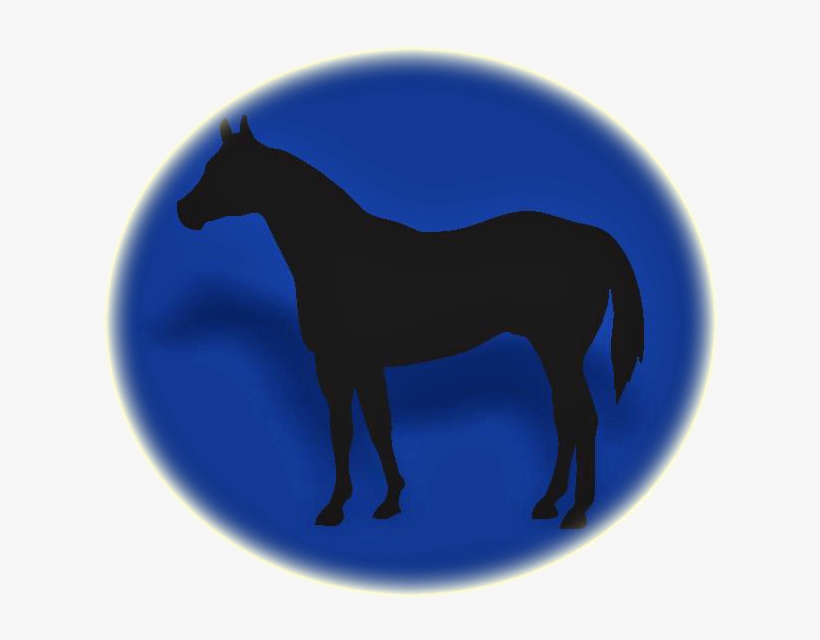 Escola De Equitação - Stallion, transparent png download