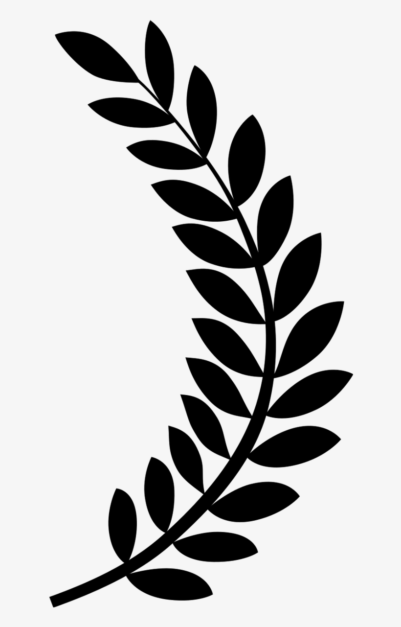 Winner - Film Festival Clipart, transparent png download