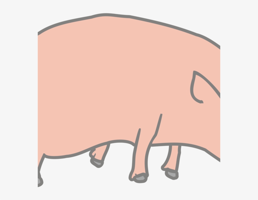 Porky Pig Vietnamese Pot-bellied Cartoon Drawing - Cartoon Pig, transparent png download