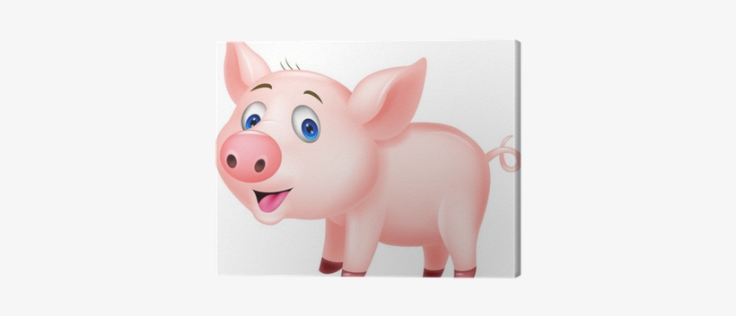 Domestic Pig, transparent png download