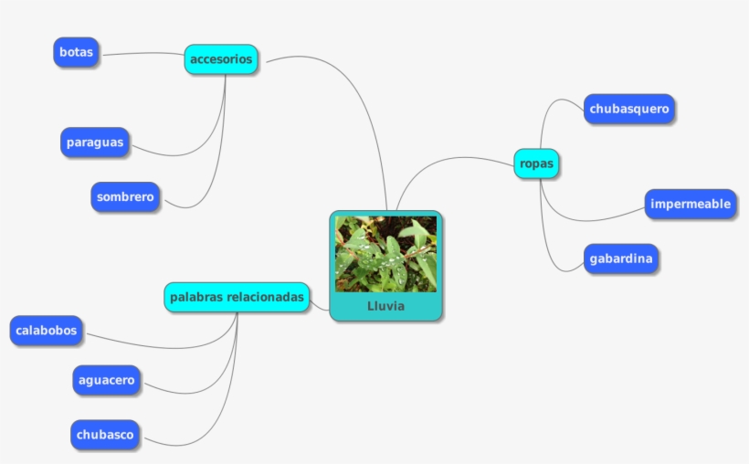 Mi Palabra Favorita Relacionada Con La Lluvia - Leeds, transparent png download