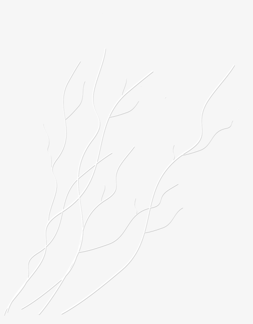Adornos Para Photoshop Destellos, Colgantes, Estrellas - Sketch, transparent png download