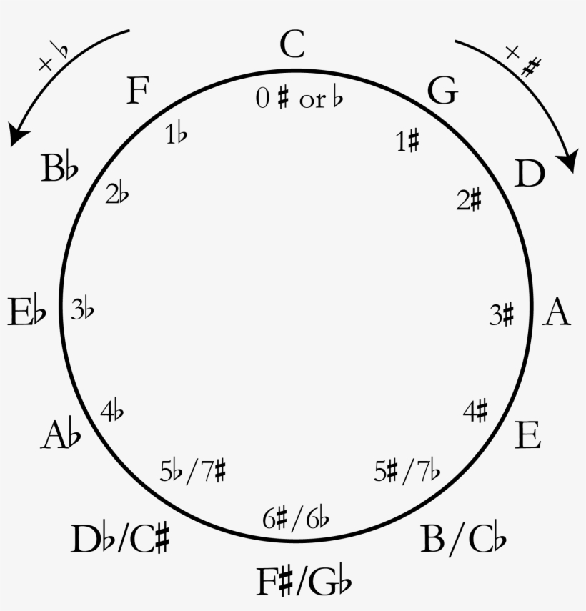 The Circle Of Fifths - Circle Of Fifths, transparent png download