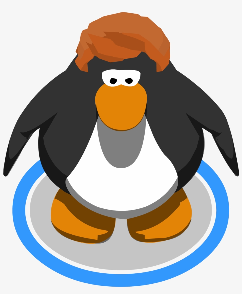 The Right Direction Ingame - Club Penguin Sombrero Png, transparent png download