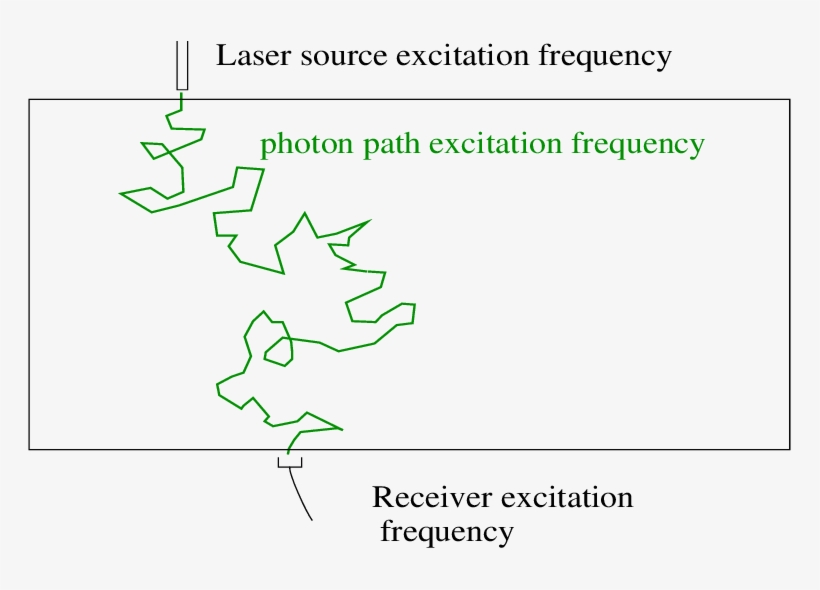 Random Walk Of Laser Light Through Tissue - Photon, transparent png download