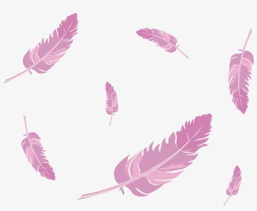 Report Abuse - Pink Feathers Png, transparent png download