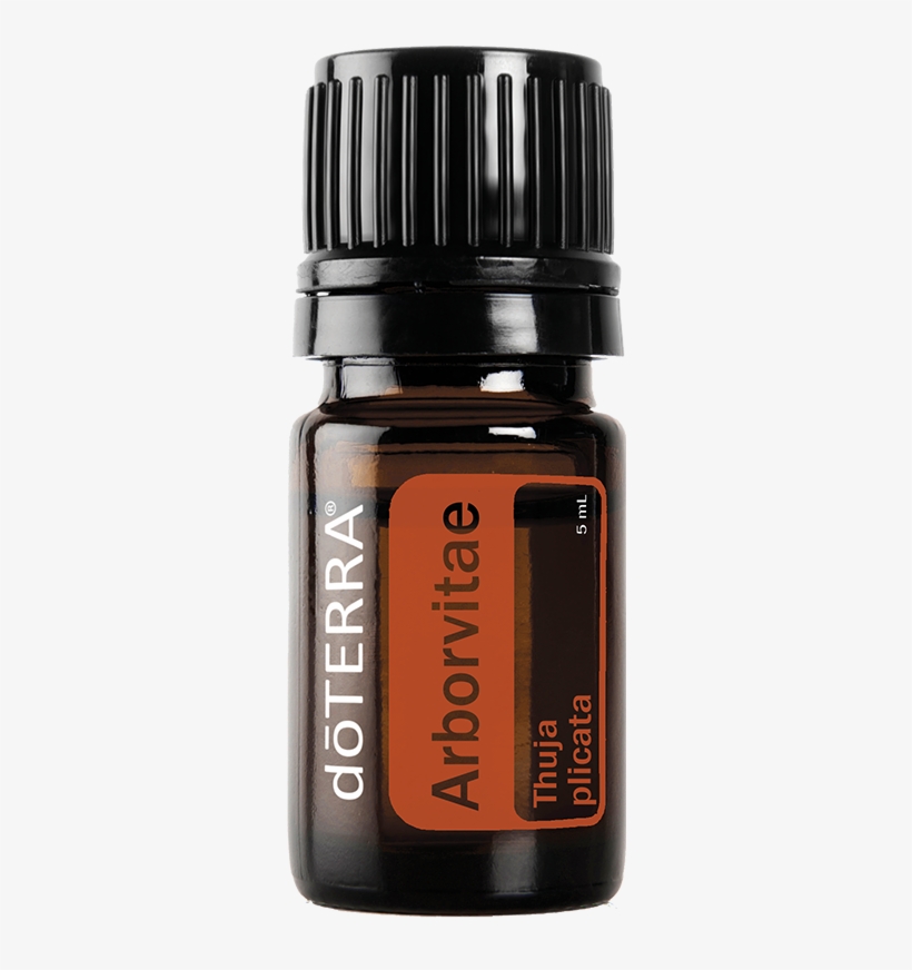 Arborvitae Doterra Essential Oil - Doterra Spearmint Essential Oil - 15 Ml, transparent png download