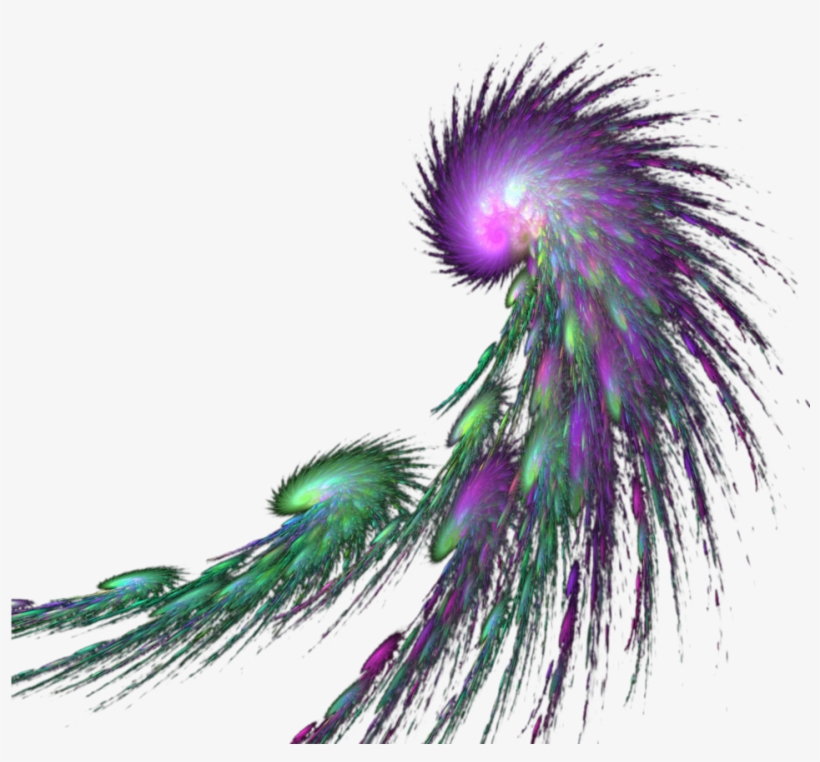 Mq Green Purple Feather Feathers - Creativity, transparent png download