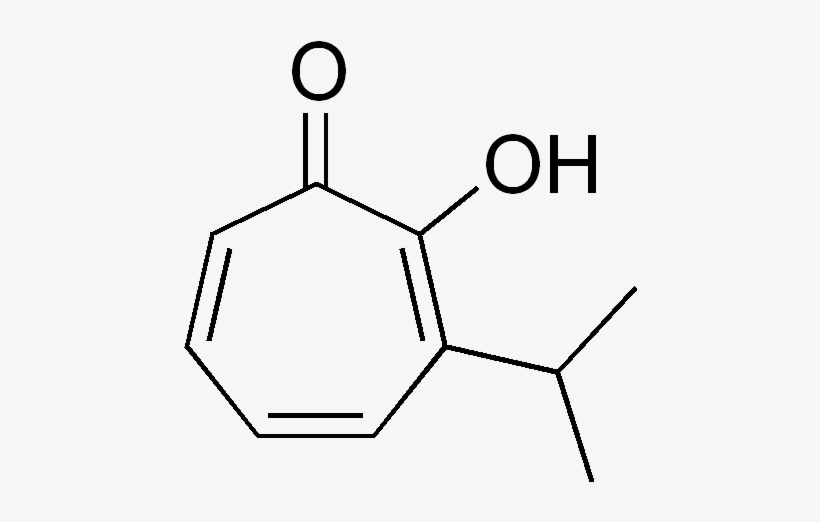 Thujaplicin - 3 6 Dihydroxyflavone, transparent png download