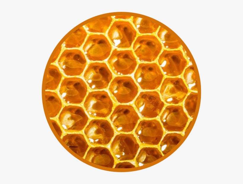 Return Of The Bees, transparent png download