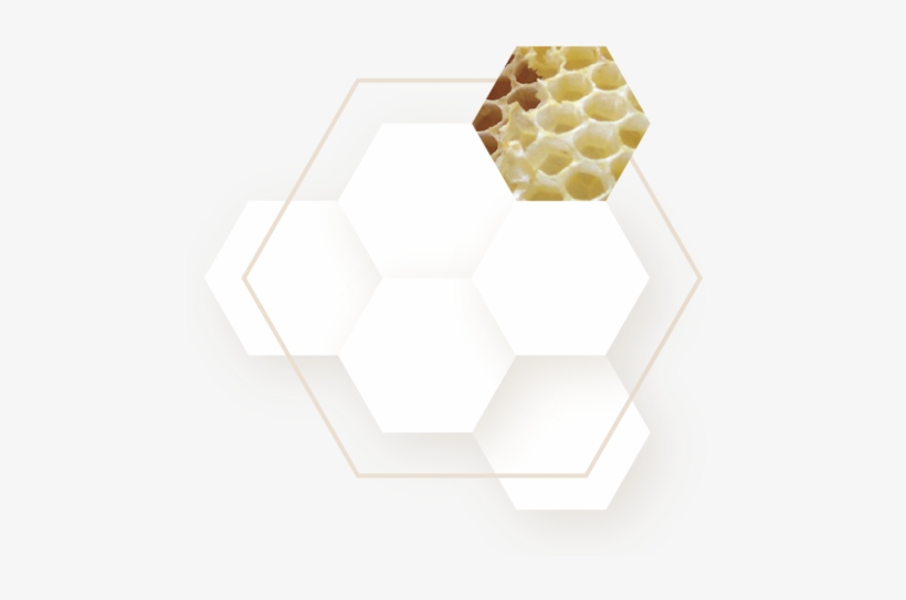 Support - Tear Drop Honeycomb Earrings In Porcelain And Gold, transparent png download