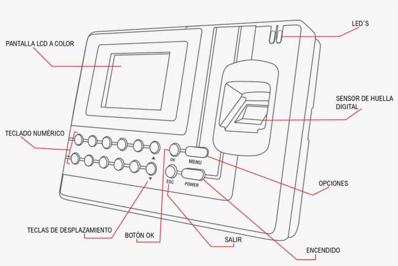 Botones Y Funciones De Los Relojes Checadores - Diagram, transparent png download