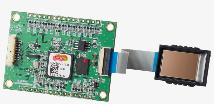Sensor De Huella Dactilar Capacitivo - Nederland Naar Sri Lanka, transparent png download