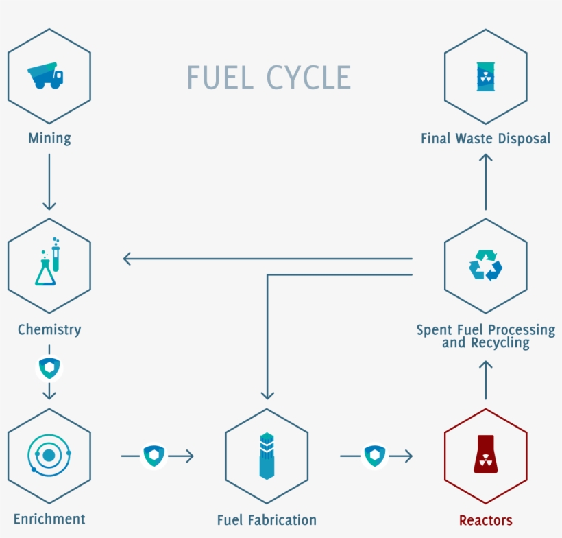 The Constraints Associated With Radioactivity Vary - Cycle Of Radioactive Materials, transparent png download