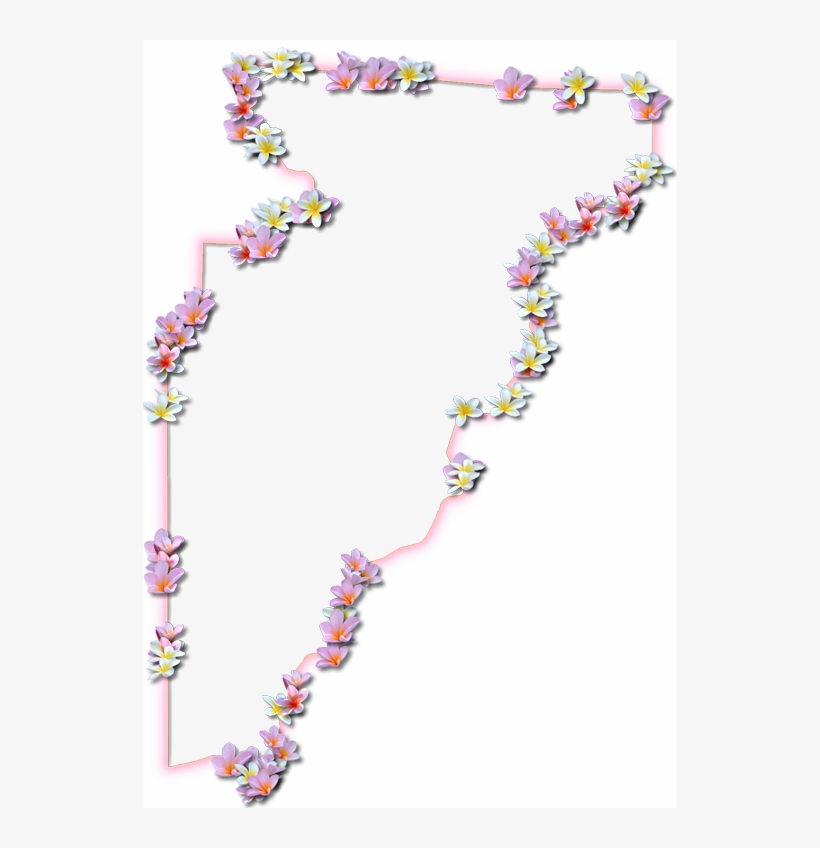 A Map Of Jefferson With A Coral Color Glow Border And - Floral Design, transparent png download