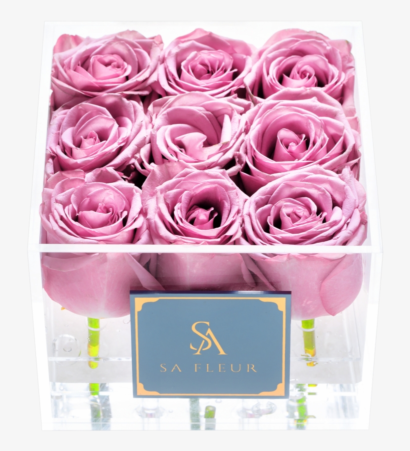 Cupid Box Purple - Cupid-box, transparent png download