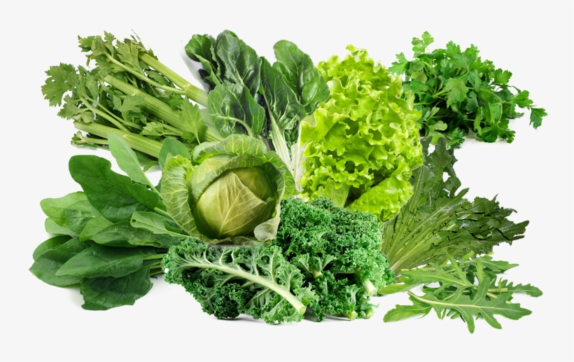Este Tipo De Hortalizas Son Compatibles Con Tomates - Plain Parsley Petroselinum Crispum 1000 Seeds Herb, transparent png download