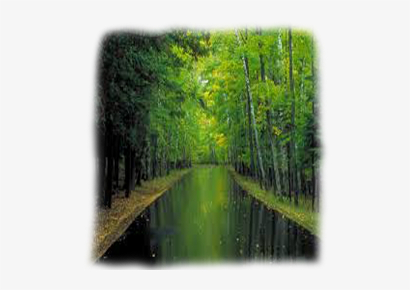 Woodland Water Department, transparent png download