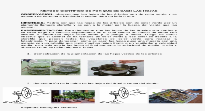 Sauté Pan, transparent png download