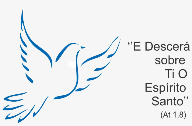 Colombe, transparent png download