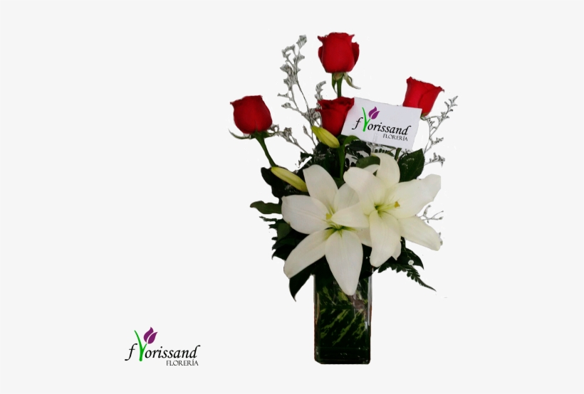 Violetero - Lily, transparent png download