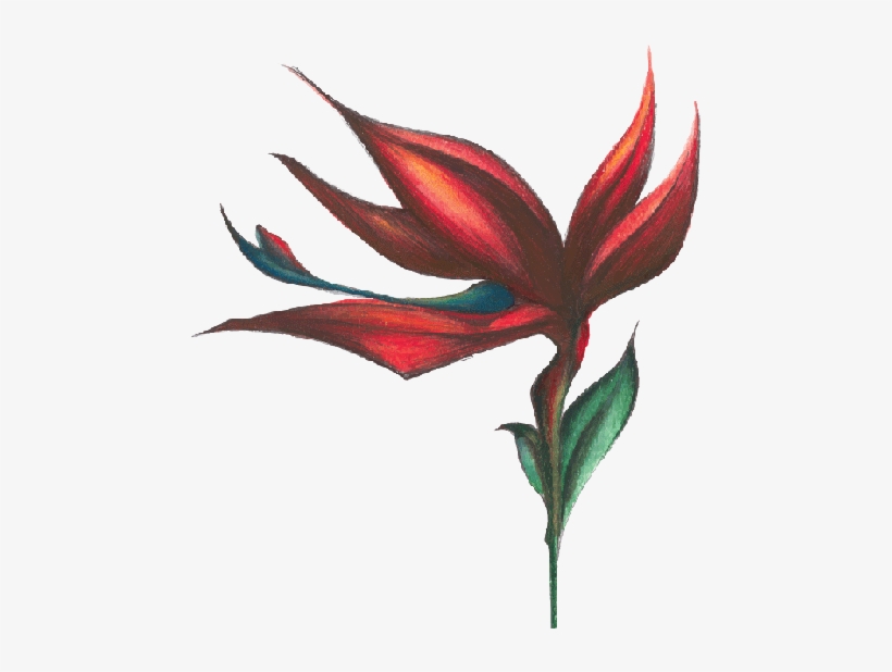 Bird Of Paradise Sticker - Kauai Juice Co, transparent png download