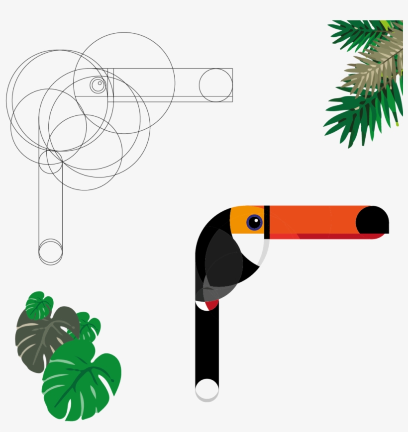 Tucan1-08, transparent png download