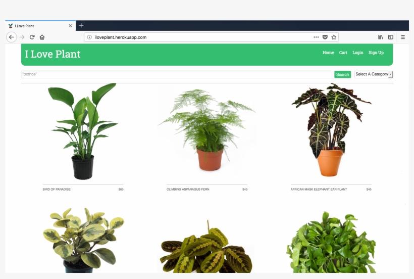 Https - //github - Com/ketikat/iloveplant - - Houseplant, transparent png download