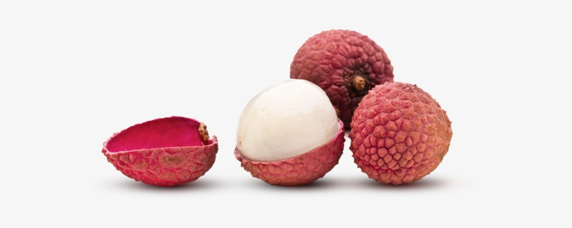 Lychee Nuts & Dragon Eyes - Blog, transparent png download