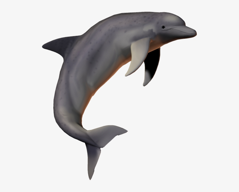 Dolphin Png,fish Png,picsartallpng - Dolphin Transparent Background