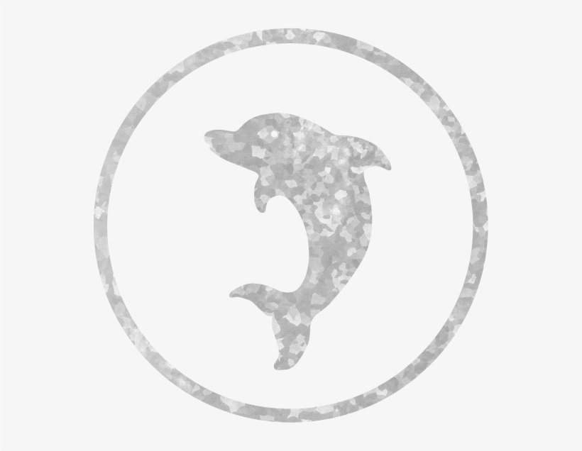 Dolphins - Icon Adventures Tours, transparent png download