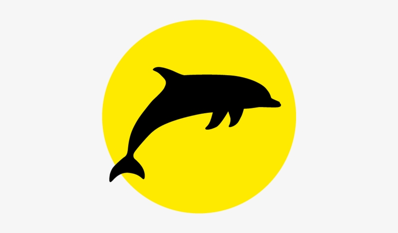 Bay Explorer Island & Wildlife Tour Cruise In Tauranga, - Icon Dolphin, transparent png download