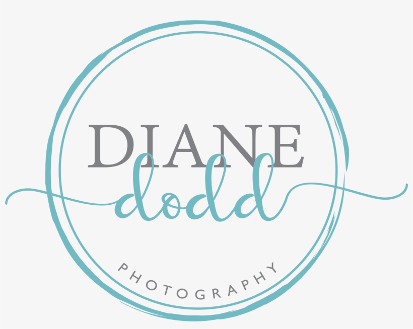 Diane Dodd Photography, transparent png download