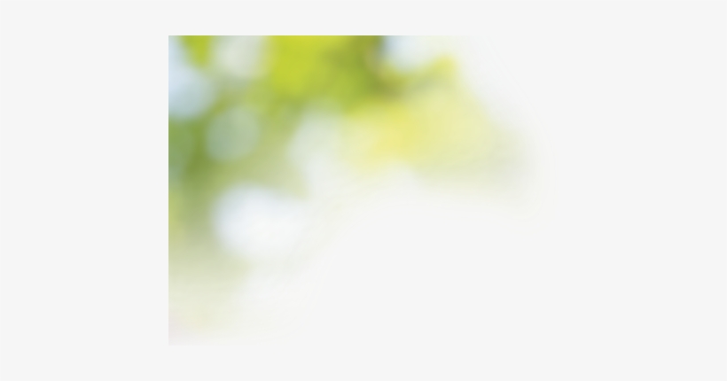 Blurred Tree, - Food, transparent png download