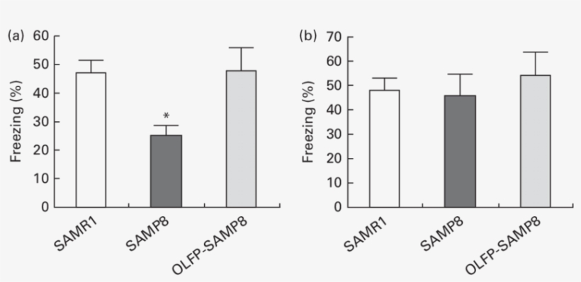 Effects Of Oligomerised Lychee Fruit Derived Polyphenol - Diagram, transparent png download
