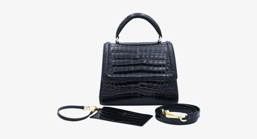 Gaby Bb Crocodile Noir - Crocodile, transparent png download