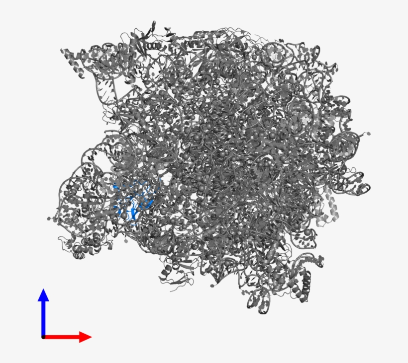 <div Class='caption-body'>pdb Entry 1w2b Contains 1 - Illustration, transparent png download