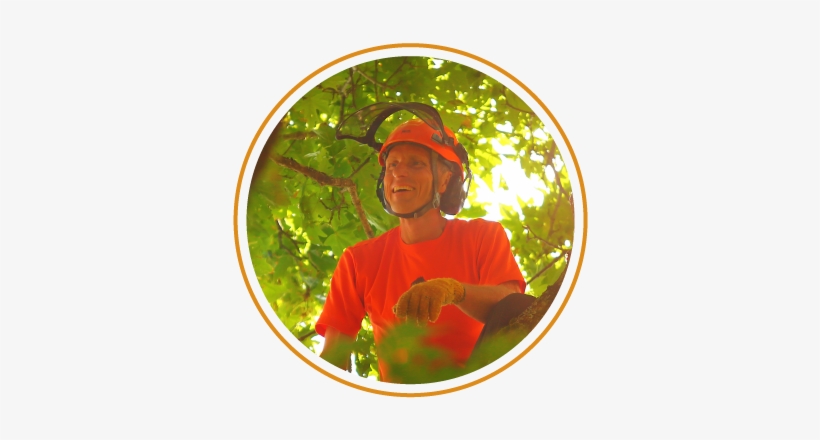The Vines Are Gone And The Dead And Dangerous Branches - Farmworker, transparent png download