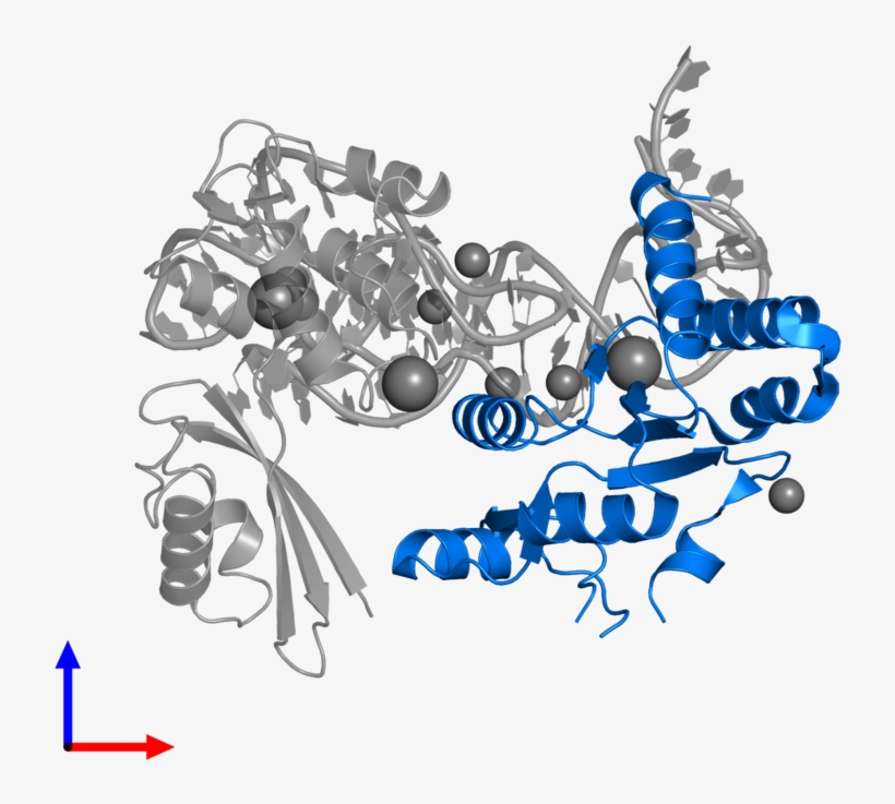 <div Class='caption-body'>pdb Entry 5dar Contains 1 - Graphic Design, transparent png download