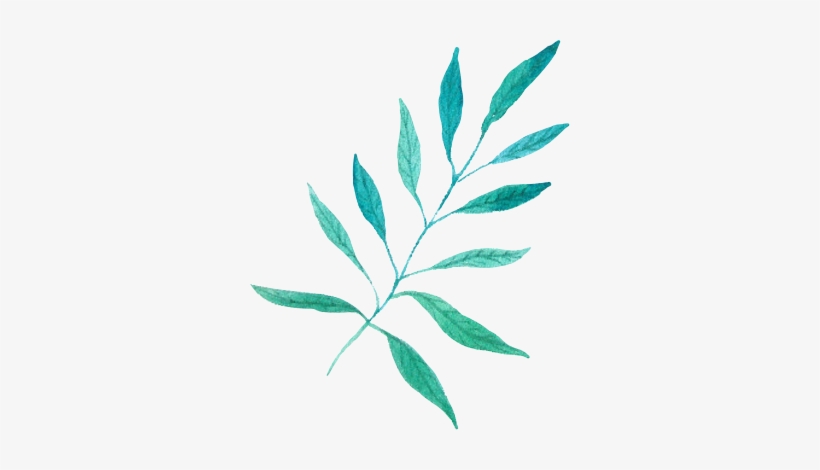 Report Abuse - Transparent Nature Watercolour, transparent png download