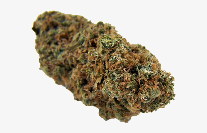 Master Kush - The Green Rose, transparent png download