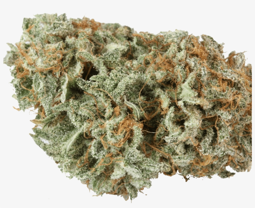 Master Kush - Master Kush Strain, transparent png download