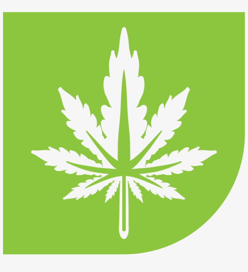 Barney's Cookies Kush - Kush, transparent png download