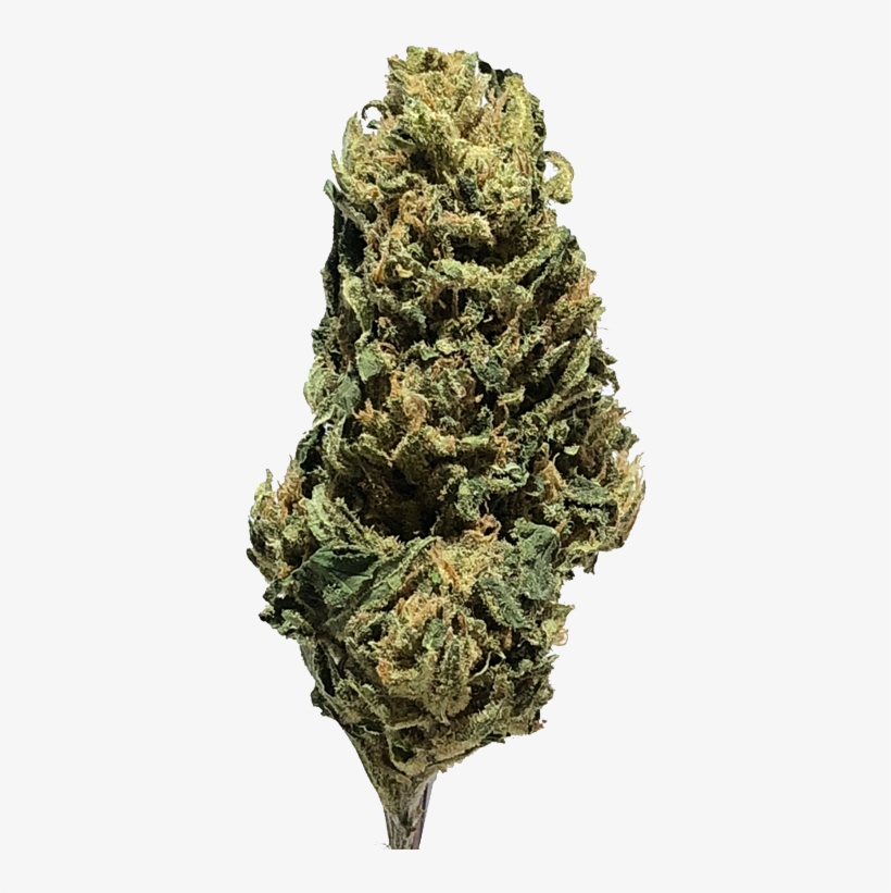 Coconut-kush - Red Pine, transparent png download