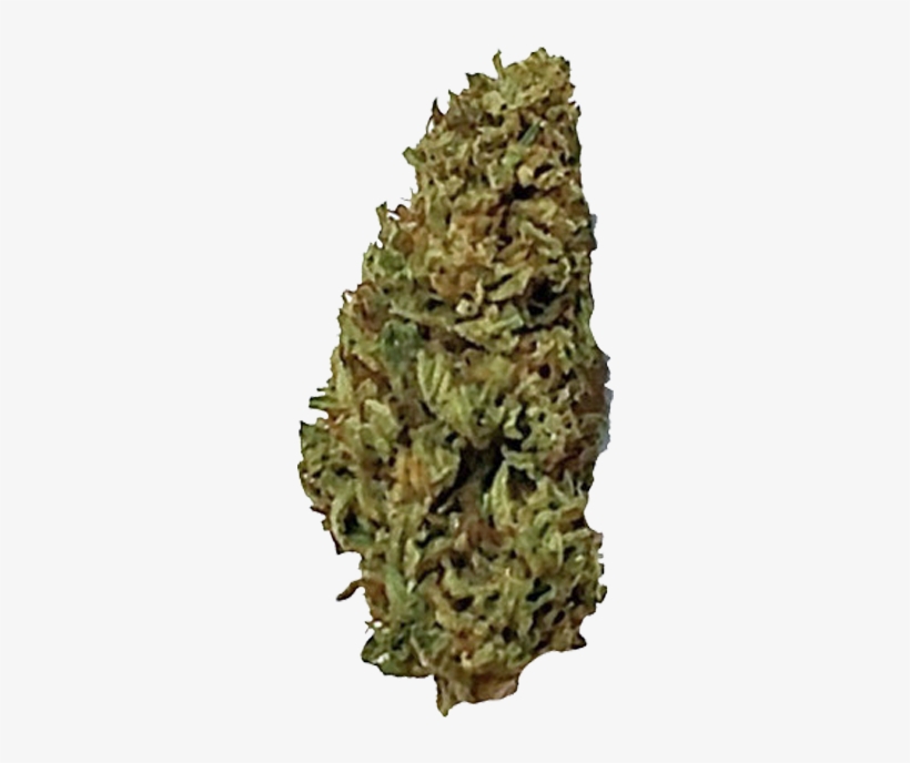 Corleone-kush - Yellow Fir, transparent png download