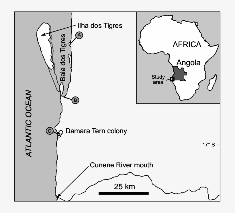 The Baia Dos Tigres Coast, Angola, Indicating The Locality - Tigres Island, transparent png download