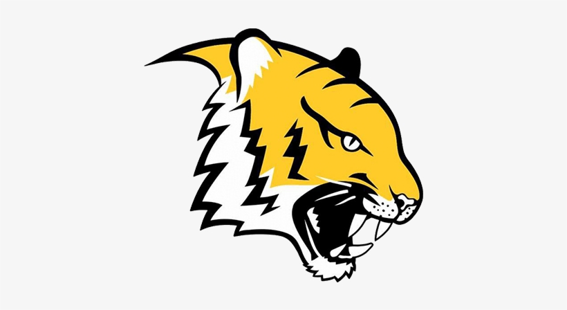 Ipatinga Tigres, transparent png download