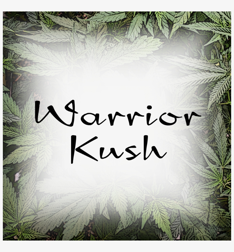 White Pine, transparent png download