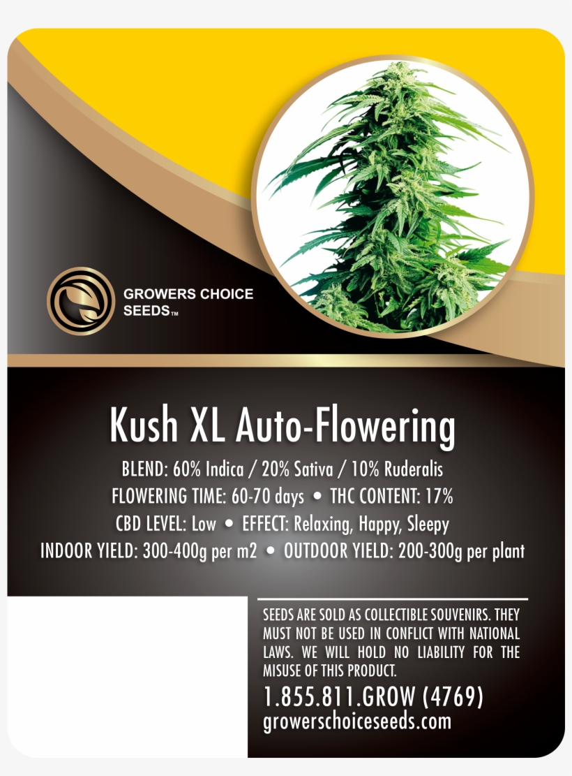 Hindu Kush, transparent png download